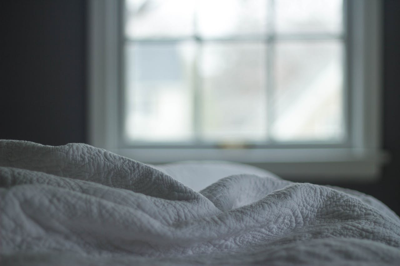 Bett Bettdecke Fenster Bettwanzen bekämpfen Welche Bettwanzenmittel wirklich wirken